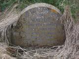 image of grave number 221940